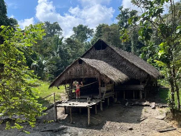 Day 1 – Arrival in the Jungle