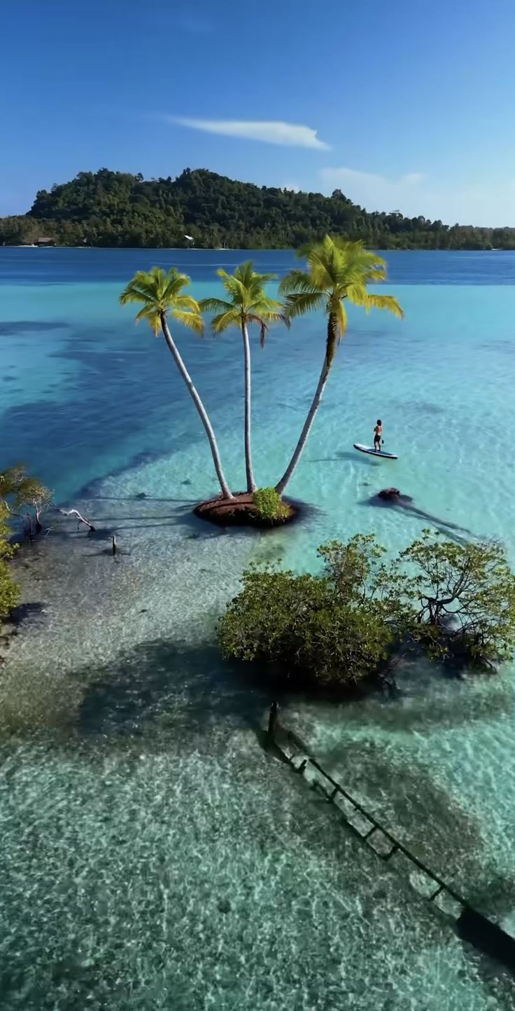 Mentawai Islands - Spongebob Island