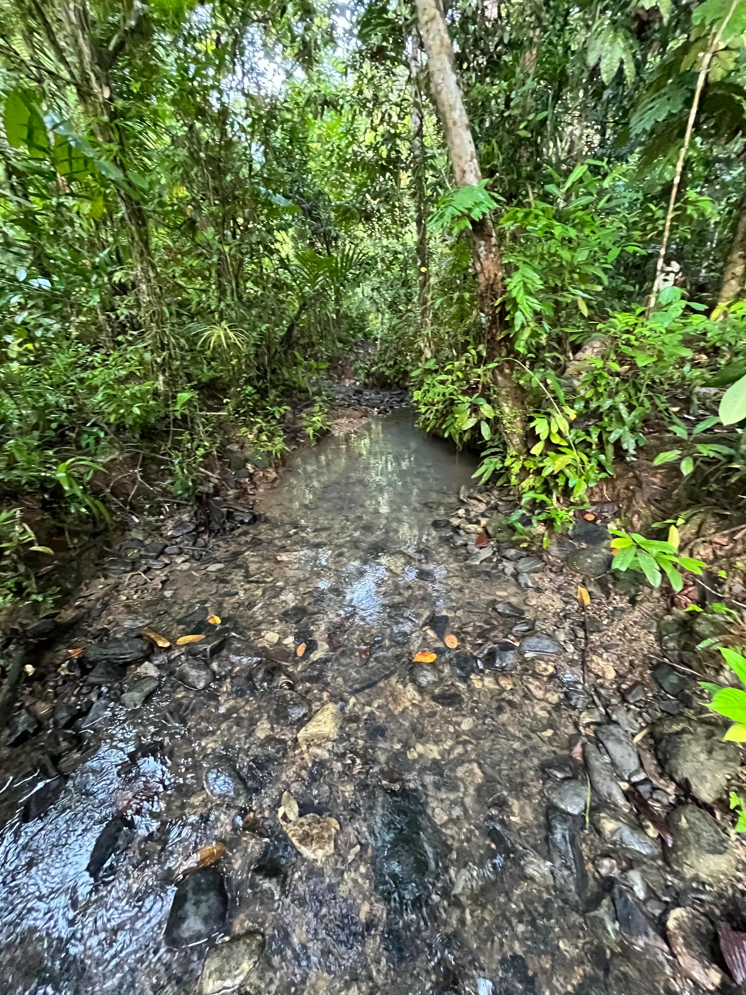 Mentawai Tour - 5 days and 4 nights 