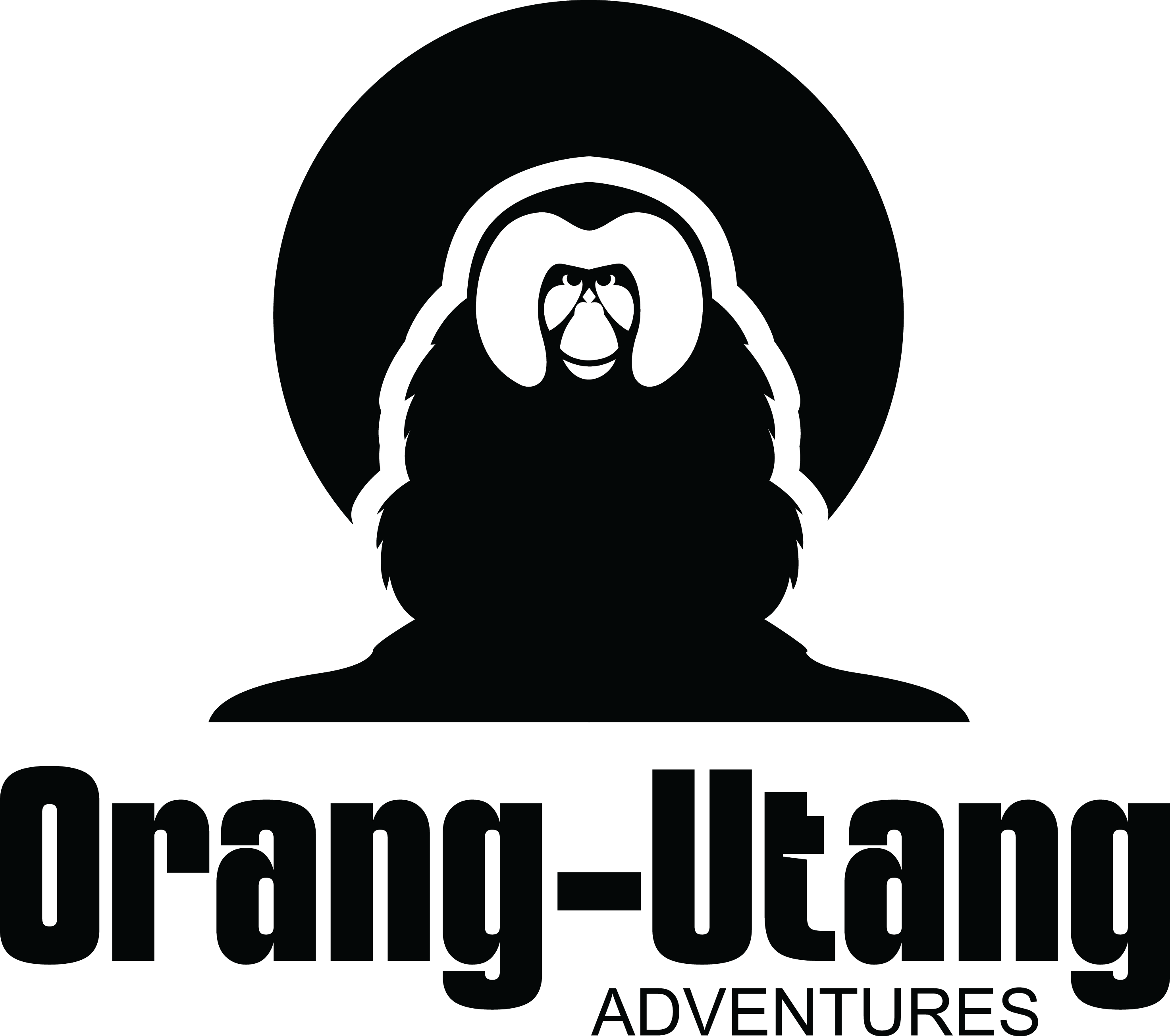 Orang Utang Tours Sumatra