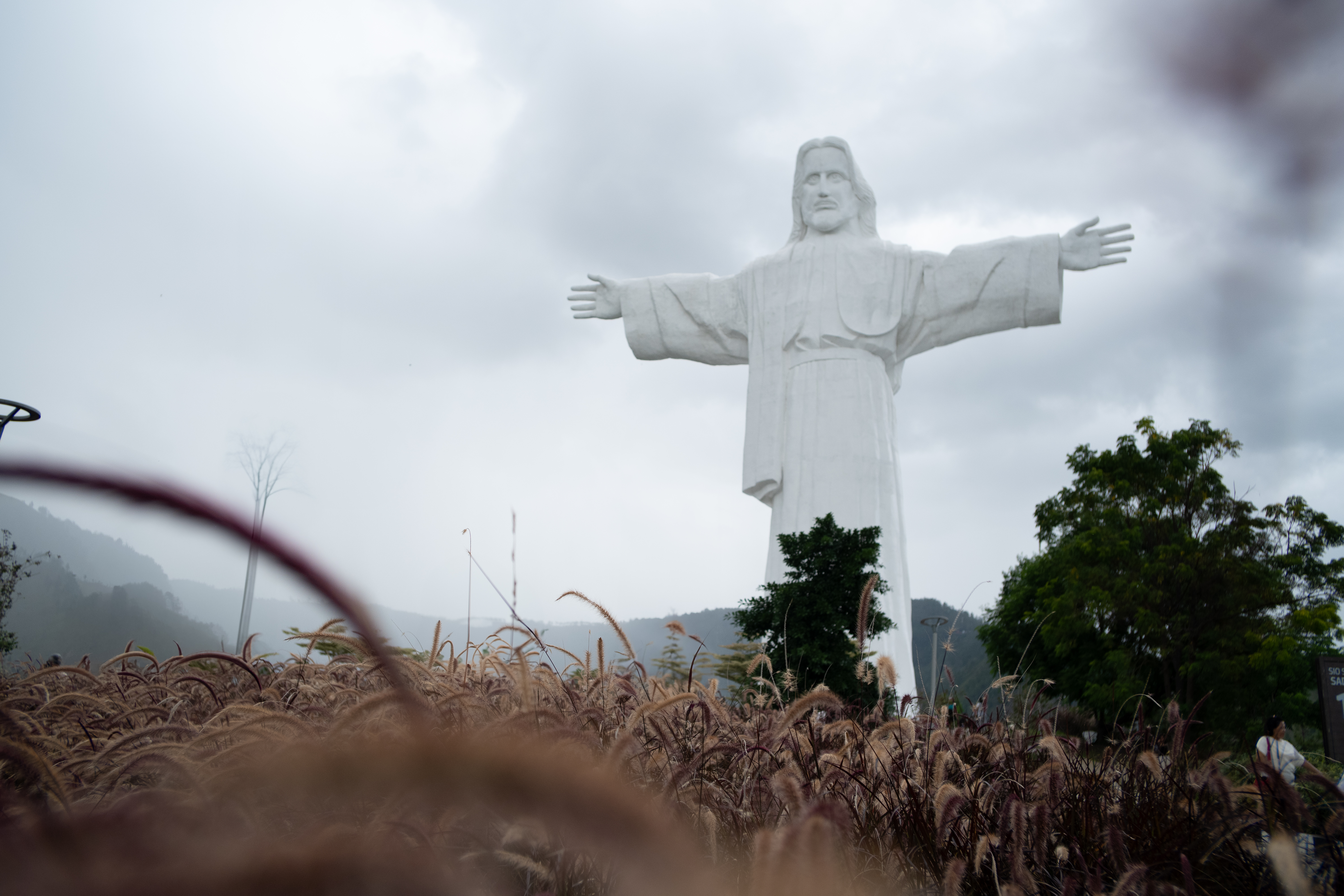 Orang Utang Tours Sumatra