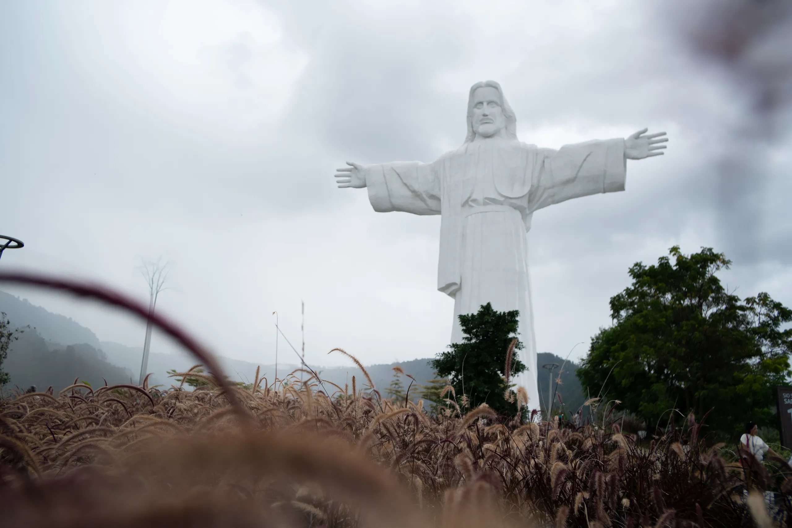 Orang Utang Tours Sumatra