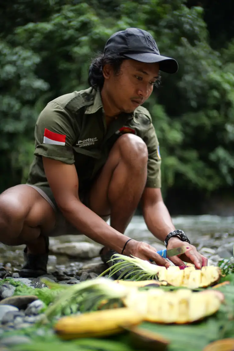DAY 4 - Drive to Bukit Lawang Jungle